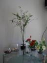 бамбук - 3шт, искуств. цветы - 3шт, декоративные камни, ракушки, вазы - 7шт