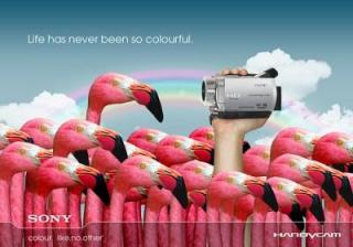 Видеокамеры Sony Handycam  - цены от 55 648 тг.