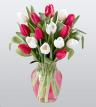 оптом тюльпаны цветы Астана, 8-701-412-40-31