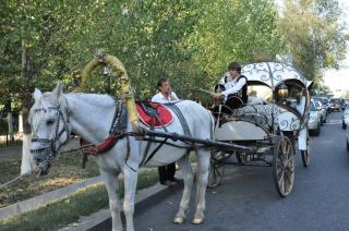 Организация поздравлений, сюрпризов и розыгрышей